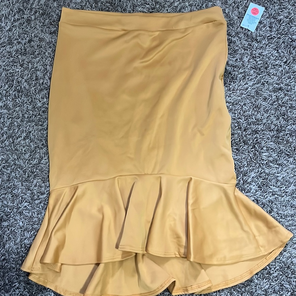 Gold skirt, stretches
